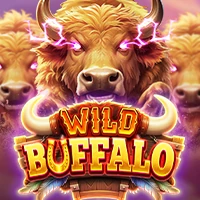 Wild Buffalo